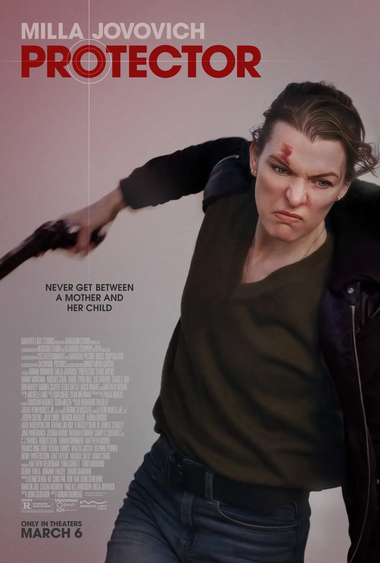 Poster de la película Protector